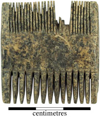 Elephant Ivory comb, artefact 2773