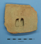 pig trotter imprint