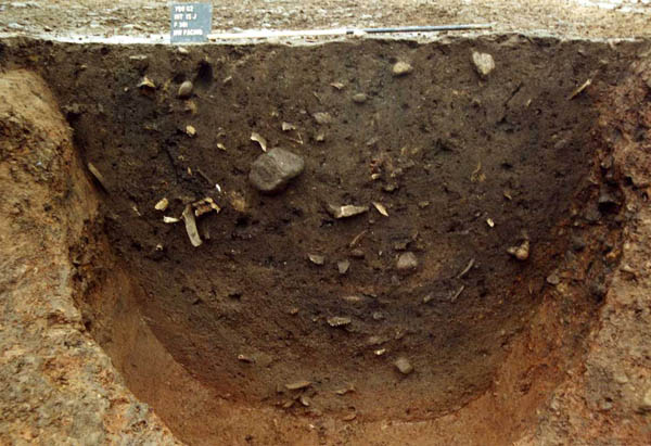 F381B north west facing section