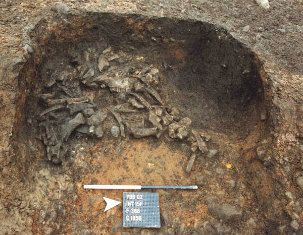 F388B, C1856B pre-excavation